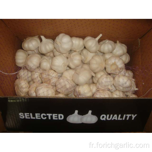 Différents emballages d&#39;ail blanc pur Jinxiang